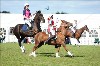 UKPA NC SAT_2323